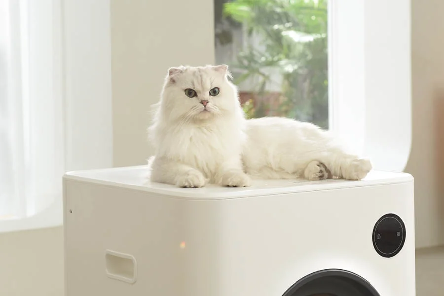 best cat litter box for large cats