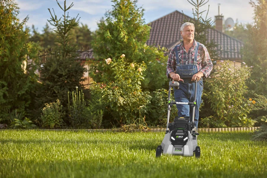 electric mowers review