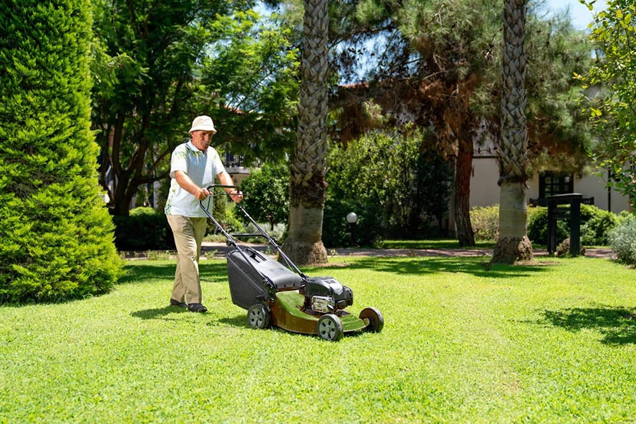 compact push mower